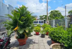 Nhà Mặt tiền Hóc Môn 6x49 hiếm có 293m2 thổ chỉ 8.5 tỷ... Bán nhà mặt phố tại Đông Thạnh, Hồ Chí Minh 12