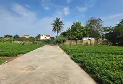 ĐẤT BẮC NINH GIÁ RẺ... Bán đất tại Hiệp Hòa, Bắc Ninh 05