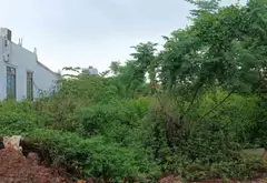 Đất mặt đường nhựa rộng, sát khu công nghiệp Nam Tràng Cát... Bán đất tại Hải An, Hải Phòng 05