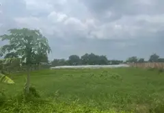 Đất rộng mặt tiền thoáng, vị trí tiện lợi tại Đông Thạnh, HCM... Bán đất tại Đông Thạnh, Hồ Chí Minh 04