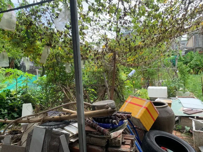 Bán đất phường An Phú Đông, Hồ Chí Minh, diện tích 76m², pháp lý rõ ràng... Bán đất tại An Phú Đông, Hồ Chí Minh 01