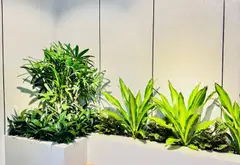 Nhà mặt phố 5 tầng kiên cố với thang máy, nội thất đầy đủ tại phường Lâm Tường... Bán nhà mặt phố tại Lê Chân, Hải Phòng 03
