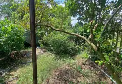 Cơ hội sở hữu nhà vườn rộng 615m² tại xã Củ Chi, không gian riêng tư hiếm có... Bán đất tại Củ Chi, Hồ Chí Minh 05