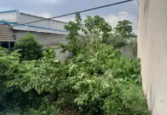 Đất đẹp Quách Điêu, sổ hồng riêng, giá mềm... Bán đất tại Vĩnh Lộc, Hồ Chí Minh 03