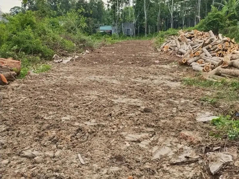Đất Mặt Đường Kinh Doanh Giá Tốt Tại Phước Hòa... Bán đất tại Phú Giáo, Hồ Chí Minh 01