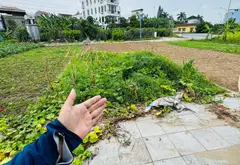 🏡 ĐẤT ĐẸP PHÂN LÔ - KINH DOANH SẦM UẤT TẠI ĐÔNG ANH 🌟... Bán đất tại Đông Anh, Hà Nội 06