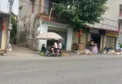 Bán đất giá tốt tại phường Song Liễu, Bắc Ninh, 51.1m2... Bán đất tại Song Liễu, Bắc Ninh 02