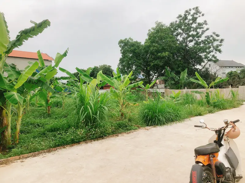 🔆Bán đất Tiên Dược lô góc 2 mặt thoáng - Sóc Sơn 100m2 đất ở - ô tô 7 chỗ chạy quanh... Bán đất tại Sóc Sơn, Hà Nội 01