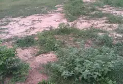 Siêu phẩm đất mặt tiền phường Thái Mỹ giá cực kỳ hấp dẫn... Bán đất tại Thái Mỹ, Hồ Chí Minh 02