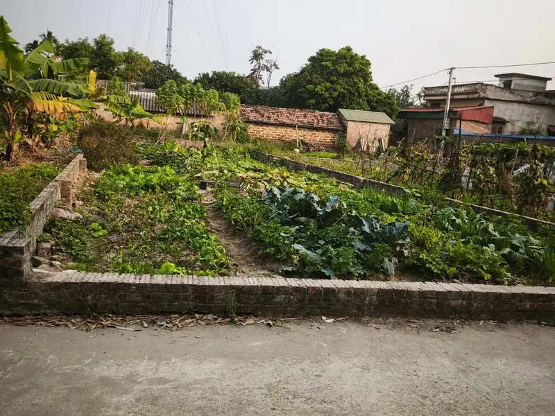 Bán lô đất ở full thổ cư tại thôn Thanh Trí, xã Minh Phú, huyện Sóc Sơn. Giá Tốt Hiện Nay... Bán đất tại Kim Anh, Hà Nội 01