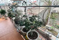Cơ hội hiếm có sở hữu căn hộ đa tầng tại Long Biên, Hà Nội với giá tốt... Bán căn hộ chung cư tại Long Biên, Hà Nội 03