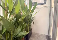 Bán gấp căn nhà ngay Bình Lợi Trung-Bình Thạnh... Bán nhà riêng tại Bình Lợi Trung, Hồ Chí Minh 02