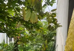 Bán nhà mặt tiền Quốc Lộ 50 Bình Hưng mới 65m2 giá 7,5 tỷ... Bán nhà mặt phố tại Bình Hưng, Hồ Chí Minh 03