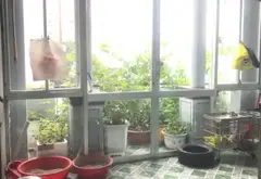 Nhà 3PN kiên cố, cách mặt tiền Trương Đình Hội chỉ 100m... Bán nhà riêng tại Phú Định, Hồ Chí Minh 11