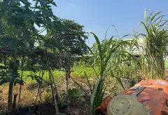 Bán đất lô góc 2 mặt thoáng tại Bình Mỹ, diện tích 256 m²mặt tiền rộng 13 m,Giá bán 3,2 tỷ... Bán đất tại Bình Mỹ, Hồ Chí Minh 07