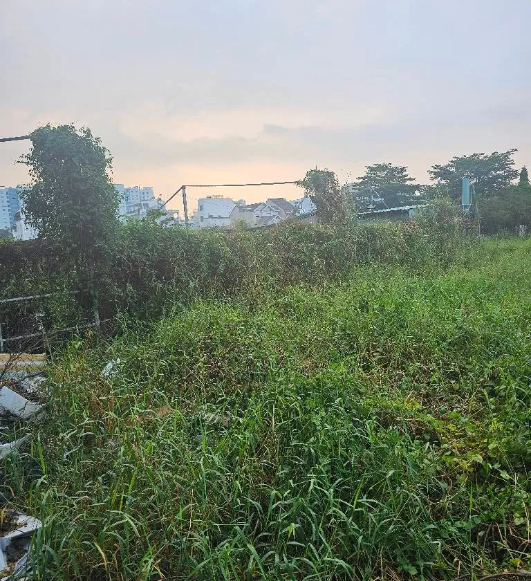 Bán đất Bình Lợi Bình Chánh 433m2, mặt tiền 10m, giá 5.4 tỷ... Bán đất tại Bình Lợi, Hồ Chí Minh 01