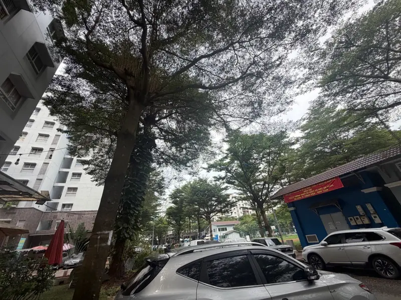 Bán căn hộ chung cư tầng 1 tại Bình Tân, diện tích 62m2, pháp lý chuẩn... Bán căn hộ chung cư tại An Lạc, Hồ Chí Minh 01