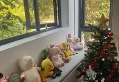 SIÊU PHẨM BIỆT THỰ LÔ GÓC – 3 MẶT THOÁNG – LONG VIỆT
🏡 Biệt thự 3 tầng, nội thất cực xịn – thiết k... Bán partner tại Quang Minh, Hà Nội 08