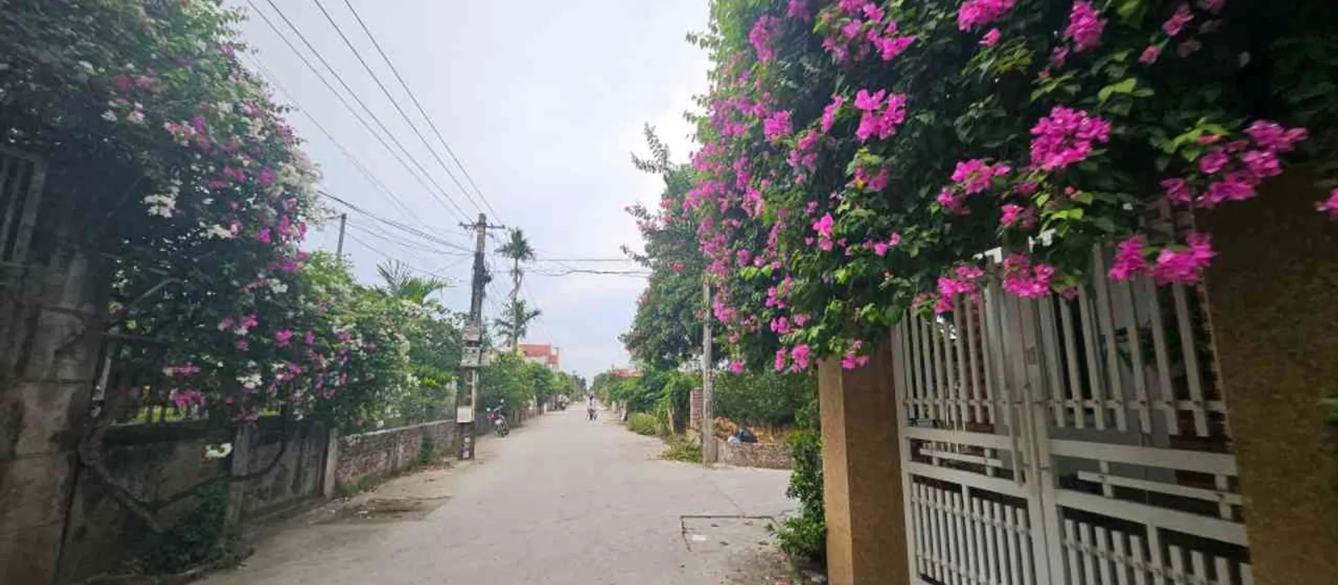 Cơ hội Vàng Sở Hữu Lô Đất Vị Trí Vàng Tại Xã Hoàn Long Hưng Yên... Bán đất tại Hoàn Long, Hưng Yên 01