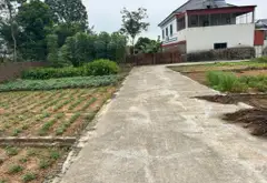 Đất Phù Lin, Sóc Sơn- Đường rộng- thông thoáng - 100m2 vuông vắn... Bán owner_side tại Sóc Sơn, Hà Nội 07