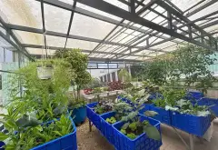 Nhà 3 tầng gần biển Thanh Khê giá sốc giảm 1 tỷ đồng... Bán nhà riêng tại Thanh Khê, Đà Nẵng 11