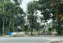 Mảnh đất vàng Vân Canh giá cực tốt chờ chủ mới... Bán đất tại Hoài Đức, Hà Nội 04
