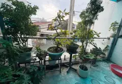 Gấp lắm rồi mại zo... Bán nhà mặt phố tại Đông Hưng Thuận, Hồ Chí Minh 07