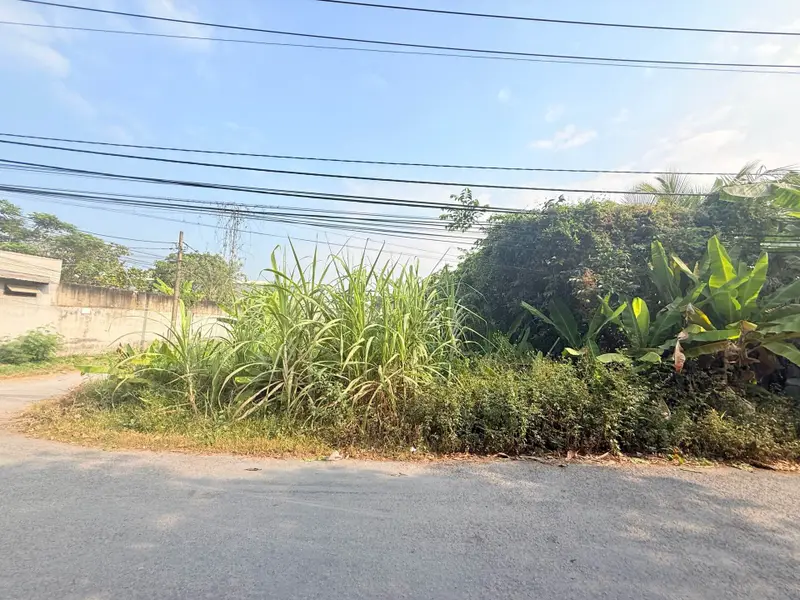 Bán đất mặt tiền đường Nguyễn Thị Da, xã Bình Mỹ, Hóc Môn, diện tích 393m2, pháp lý rõ ràng... Bán đất tại Bình Mỹ, Hồ Chí Minh 01