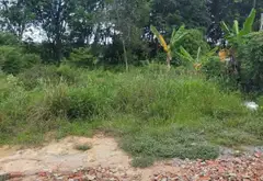 Đất đẹp Bình Dương mặt tiền rộn ràng cơ hội đầu tư... Bán đất tại Bình Dương, Hồ Chí Minh 02