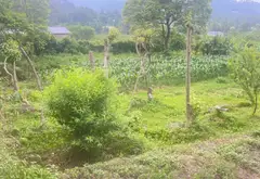 Bán đất 1830m² tại xã Trung Giã, mặt tiền rộng, pháp lý cơ sở... Bán đất tại Trung Giã, Hà Nội 02