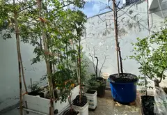 Nhà 2 mặt thoáng, tràn ngập ánh sáng tại An Dương Vương... Bán nhà riêng tại An Lạc, Hồ Chí Minh 14