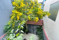 Cơ hội sở hữu nhà 2 tầng vị trí vàng quận Gò Vấp, giá tốt đáng đầu tư... Bán nhà riêng tại An Hội Tây, Hồ Chí Minh 15