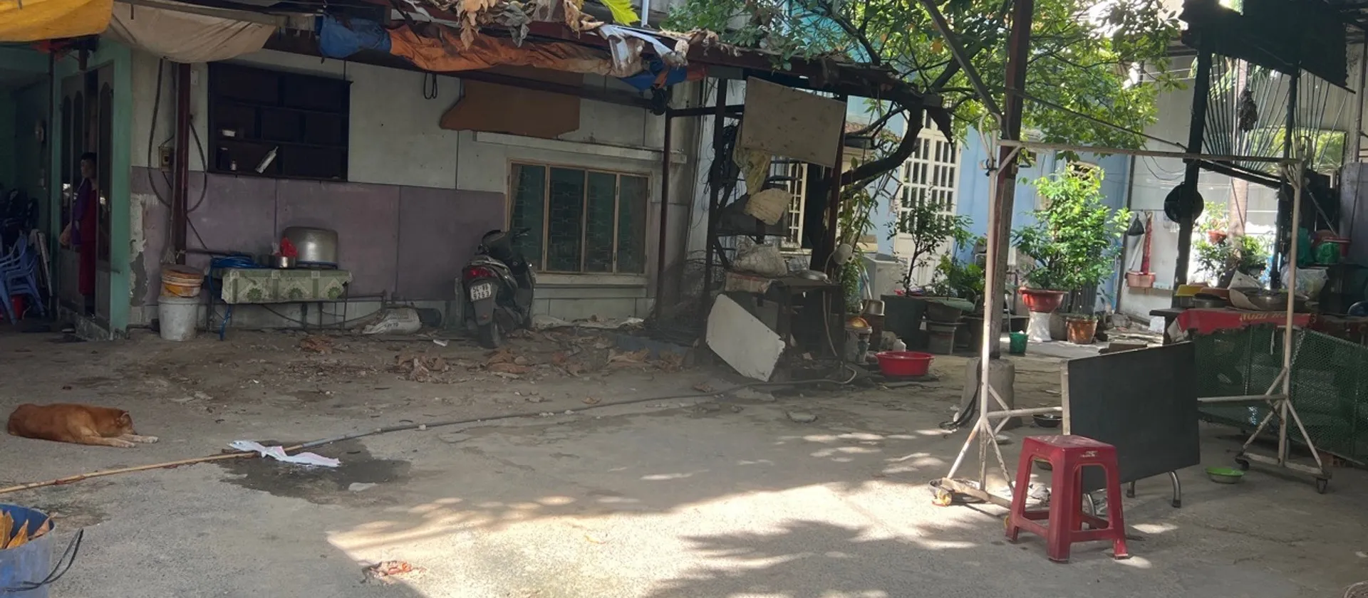 🔥 SIÊU PHẨM ĐẤT VÀNG 430M2 QUANG TRUNG – GÒ VẤP - 26TY TL... Bán nhà riêng tại Thông Tây Hội, Hồ Chí Minh 01