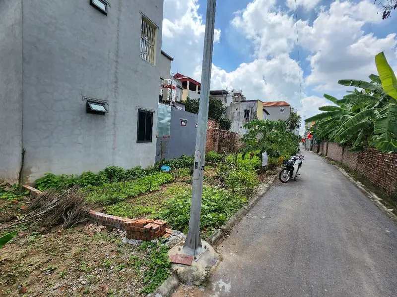 Bán đất 50m2 mặt tiền 8.5m tại Dương Quang, ngõ ô tô 24 chỗ... Bán đất tại Thuận An, Hà Nội 01