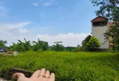 Bán đất thổ cư Sơn Đoài, Tân Minh, Sóc Sơn - Giá đầu tư, ngõ ô tô vào... Bán đất tại Sóc Sơn, Hà Nội 11