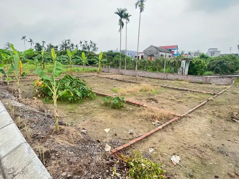 Cơ hội sở hữu đất nền tiềm năng tại khu vực KCN Tràng Duệ 3... Bán đất tại An Trường, Hải Phòng 01