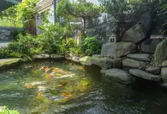 Villa rừng đồng lúa Hòa Khương diện tích rộng 459m² giá chỉ 14.5 tỷ - cơ hội sở hữu hiếm có... Bán bất động sản khác tại Hòa Tiến, Đà Nẵng 11