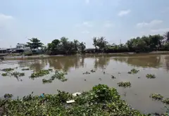 Bán nhà mặt phố 2 tầng 500m2 tại ấp Vườn Thơm Bình Chánh... Bán nhà mặt phố tại Bình Lợi, Hồ Chí Minh 15