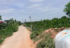 Đất vàng Văn Giang, mặt tiền 17m siêu tiềm năng... Bán đất tại Văn Giang, Hưng Yên 02