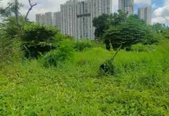 Quỹ Đất Đẳng Cấp Ven Sông Tại Đào Trí, Không Gian Riêng Tư Hiếm Có... Bán đất tại Phú Thuận, Hồ Chí Minh 06
