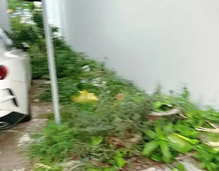 Cơ hội sở hữu lô đất vàng hướng Đông Nam giá trị hiếm có tại Đầm Sen... Bán đất tại Ngũ Hành Sơn, Đà Nẵng 01