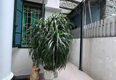 Bán nhà riêng 3 tầng trung tâm Thanh Xuân, nhà lô góc, ngõ thông, ô tô đỗ cửa... Bán nhà riêng tại Thanh Xuân, Hà Nội 08