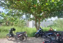 Bán đất 50m² phường Long Phước giá 2,5 tỷ chính chủ... Bán đất tại Long Phước, Hồ Chí Minh 01