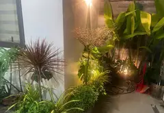 Nhà 2 tầng mặt tiền rộng hiếm tại trung tâm Hoàng Diệu - Đáng sở hữu ngay hôm nay... Bán nhà riêng tại Hải Châu, Đà Nẵng 01