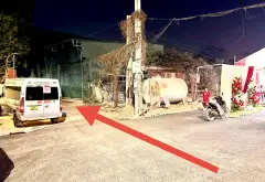 Cơ Hội Vàng Sở Hữu Nhà 5 Tầng Tại Ngọc Hồi – Vị Trí Đẹp, Tăng Giá Mạnh Mẽ... Bán nhà riêng tại Ngọc Hồi, Hà Nội 02