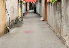Cơ hội vàng sở hữu đất thổ cư tại Giang Liễu giá tốt không thể bỏ lỡ... Bán đất tại Phương Liễu, Bắc Ninh 06