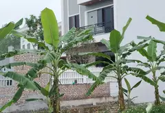 Đất Thôn Đan Tảo Tân Minh 2 Tầng Thoáng - Đầu Tư Sinh Lời... Bán đất tại Sóc Sơn, Hà Nội 01