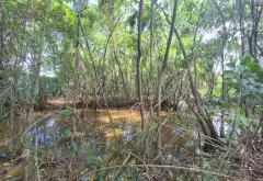 Bán đất dự án sát chung cư quận 7, diện tích 2890 m2, pháp lý chuẩn... Bán đất tại Phú Thuận, Hồ Chí Minh 08