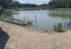 Bán đất 11.000m2 xã Hiệp Phước Nhà Bè giá 55 tỷ... Bán đất tại Hiệp Phước, Hồ Chí Minh 04