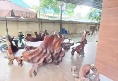 Bán nhà mặt phố 1 tầng rộng 296.7m2 tại quận trung tâm... Bán nhà mặt phố tại Tân Nhựt, Hồ Chí Minh 02